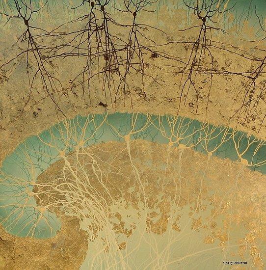 博士生创作人类大脑神经元细胞“水墨画”大脑神经元